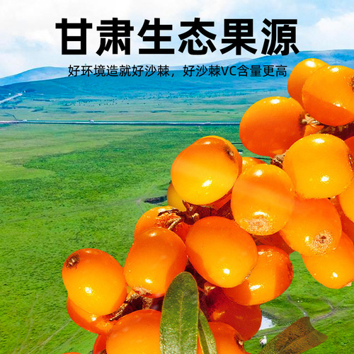 Qi Li Xiang Taste Seabuckthorn Original Juice Gift Box Seabuckthorn Original Juice 300ml Box Seabuckthorn Fruit Fresh Juice Independent Small Bags
