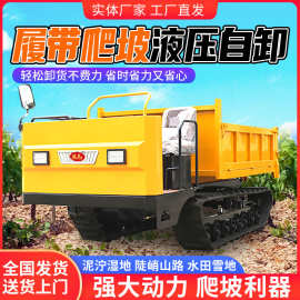 爬山虎运输车加吊爬山虎履带车建筑工地用运输车山地用履带运输车