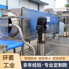 滚筒式核桃仁去皮机 杏仁莲子仁去皮清洗机 坚果仁毛刷清洗去皮机