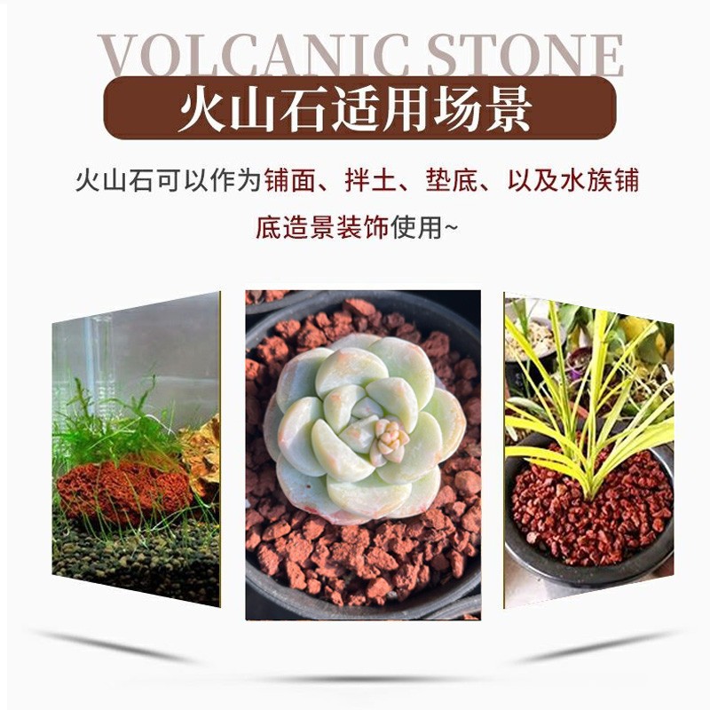 O1CN01yysYYf28G5Hzc31M1_!!2213