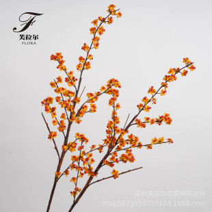 �羳���Sֱ�N����������С�t��֦�ҾӾƵ�e���Ӱ��g������ˇ�b�