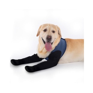 Dog Socks Prevent Licking Paw Dog Healing Boots Protector Non-Slip Bottom Protect Wound Waterproof Cover Dog Shoes
