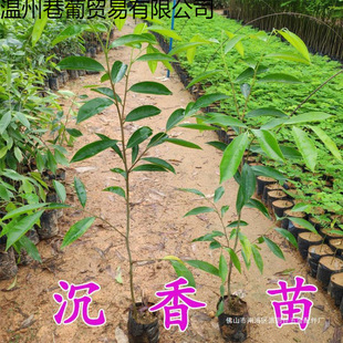 ����������������ľș�����F�������F�����������������