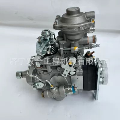 VE Fuel Pump Yanacaq injektoru (Forsunka)