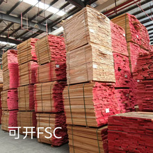 �W�ޙ�ľɽë�Ι�ľ��ę�ľ�����Ͽ��_FSC