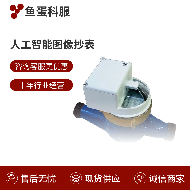 厂家供应鱼蛋智能 人工智能图像抄表 水表 智物系列 直读式水表