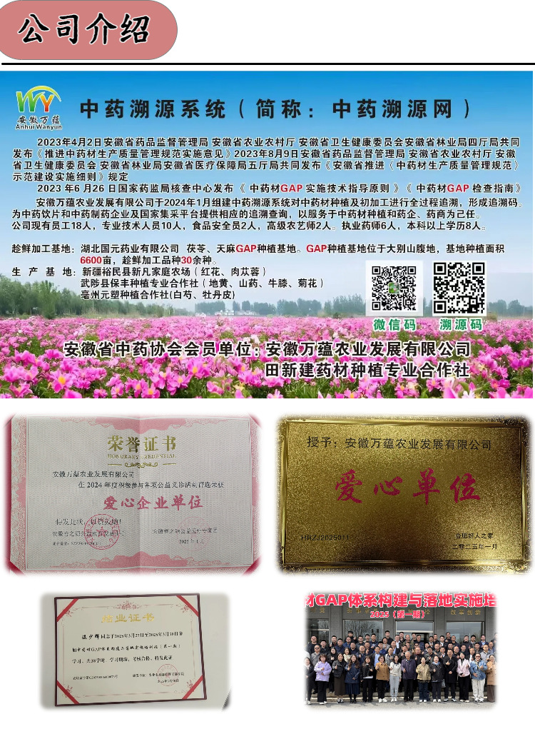 White Hyacinth Bean Bai Bian Dou Dried Seeds Sulfur-Free Raw Herb for Herbal Tea and Congee 500g Bag preparation