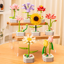 ���a�eľ�������Ԅ�ֲ����� �w��ƴ�bֲ���~[�� ��ͯ���նY��