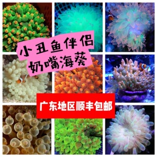 ���c�������캣����ˮ�BֳС���~������������ܛ�wɺ���G���캣��