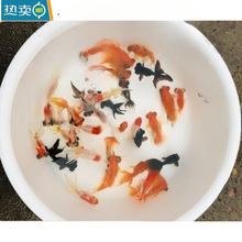 С���~���^�p�~��ˮ�ͻ���B�~��ˮ�t���\�����~С���~���~���~