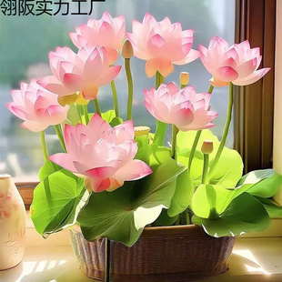 ɏNļ_ˮˮBGֲ˯ɏɻoԻ