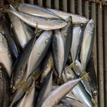 l~ ໨~  ^D~ 100-200g