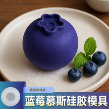 �{ݮĽ˹���zģ���ֹ�DIY�決�{ݮ����N��ʳƷ�����z����׃��