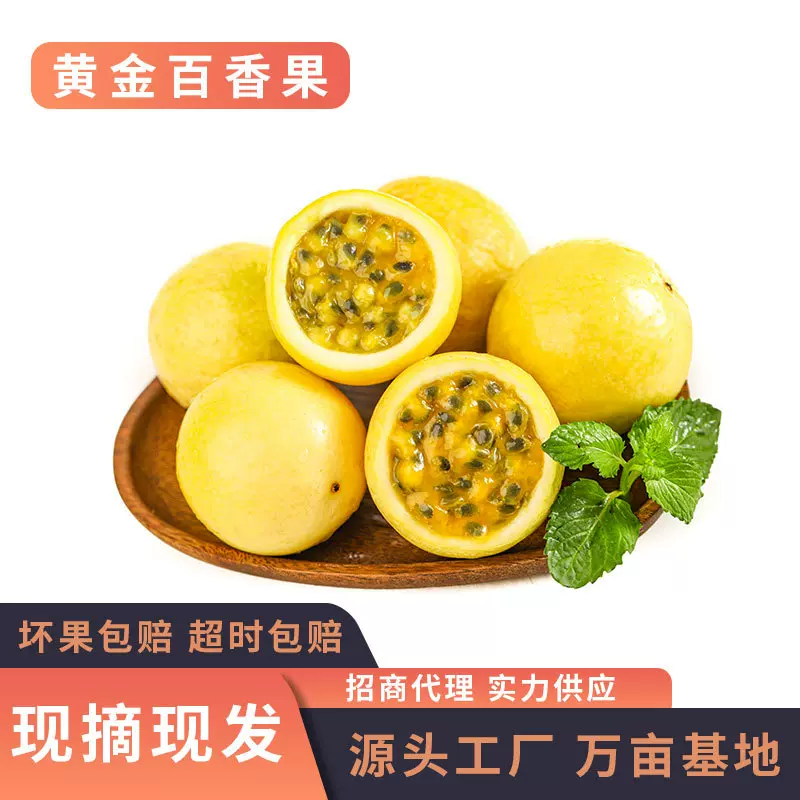 福建黄金百香果批发当季热带新鲜孕妇水果酸甜多汁现摘现发非紫皮