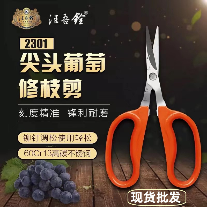 汪吾铨不锈钢翘头尖头葡萄专用修枝剪刀果蔬园艺剪枝摘果盆景2301