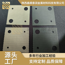 供应铂金钛网 铂电极水处理钛电极加工 富氢水杯阳极 规格多