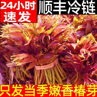 ��S��l�㴻ѿ���r�㴺ѿ�ˬF؛2025�^���㴻�Ĵ��t���㴻�^ɽ�|