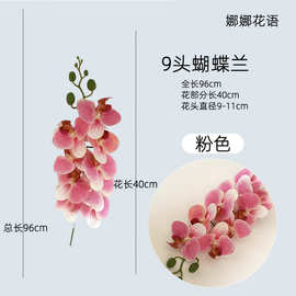 仿真蝴蝶兰九头蝴蝶兰仿真花高级感逼真仿真花场景布置假花装饰