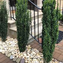 ֱ�����೯��P����ֲ���ļ��L���ձ������ͺ�����ͥԺ�G�h����