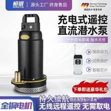 48v60v直流潜水泵72v农用充电电动电瓶车灌溉水泵浇菜家用泵铸钢