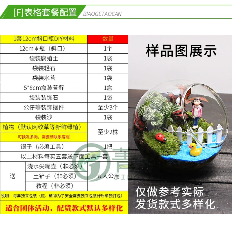 Micro landscape, table glass materials set, DIY, Birthday gift