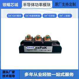 普通晶闸管;IGBT模块;集成电路