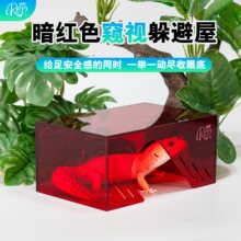 窥视躲避屋可视守宫睫角盖勾亚肥尾瘤尾蛇躲避窝造景套餐