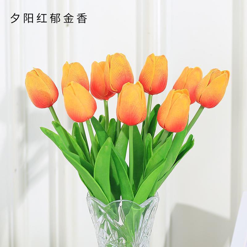 일몰 레드
