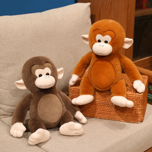 ��ͨ����С���ӹ���ë�q��ߴ�������żС�J�ﰲ�᲼�������նY��