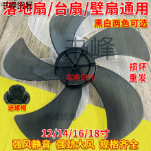 L~ƬͨL~Ƭ5~̨ȱL~Ӻ