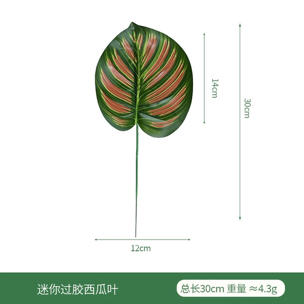 Mini Gum Watermelon Leaf
