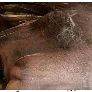 �ؘ�Ƥ������ë�ؙ����ؽz��Ƭ��Ƥ�bG�}��Ҭ�ذ�é������