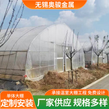 大棚定制单体大棚镀锌管拱形大棚薄膜蔬菜瓜果温室独栋大棚温室