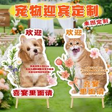 Wtkt؈乷YHӭeƔ[ektinsL9