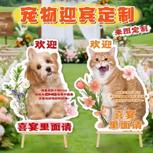 С�t���W�t����kt��؈�乷����Y���Hӭ�e�Ɣ[�����e��kt��ins�L9