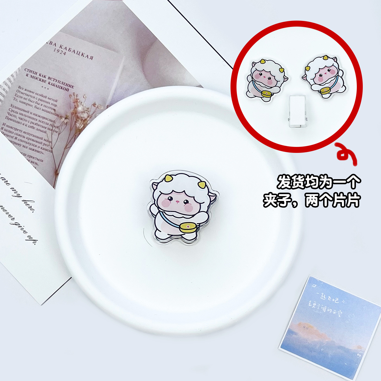 새첼 양 더블 사이드 클립