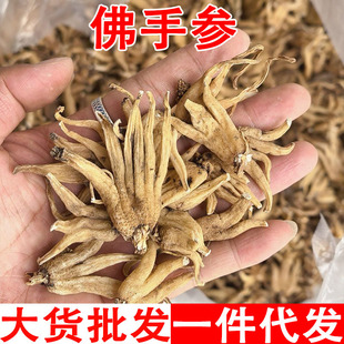 ���ƅ� ��؛�����օ� �ƅ� ���օ� �փ�����ԭ����؛��؛���l���l