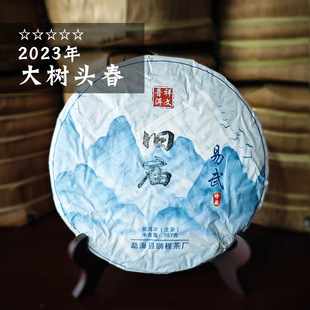 �����f�R�ն�����������l���Ř伃��2023��357g��������