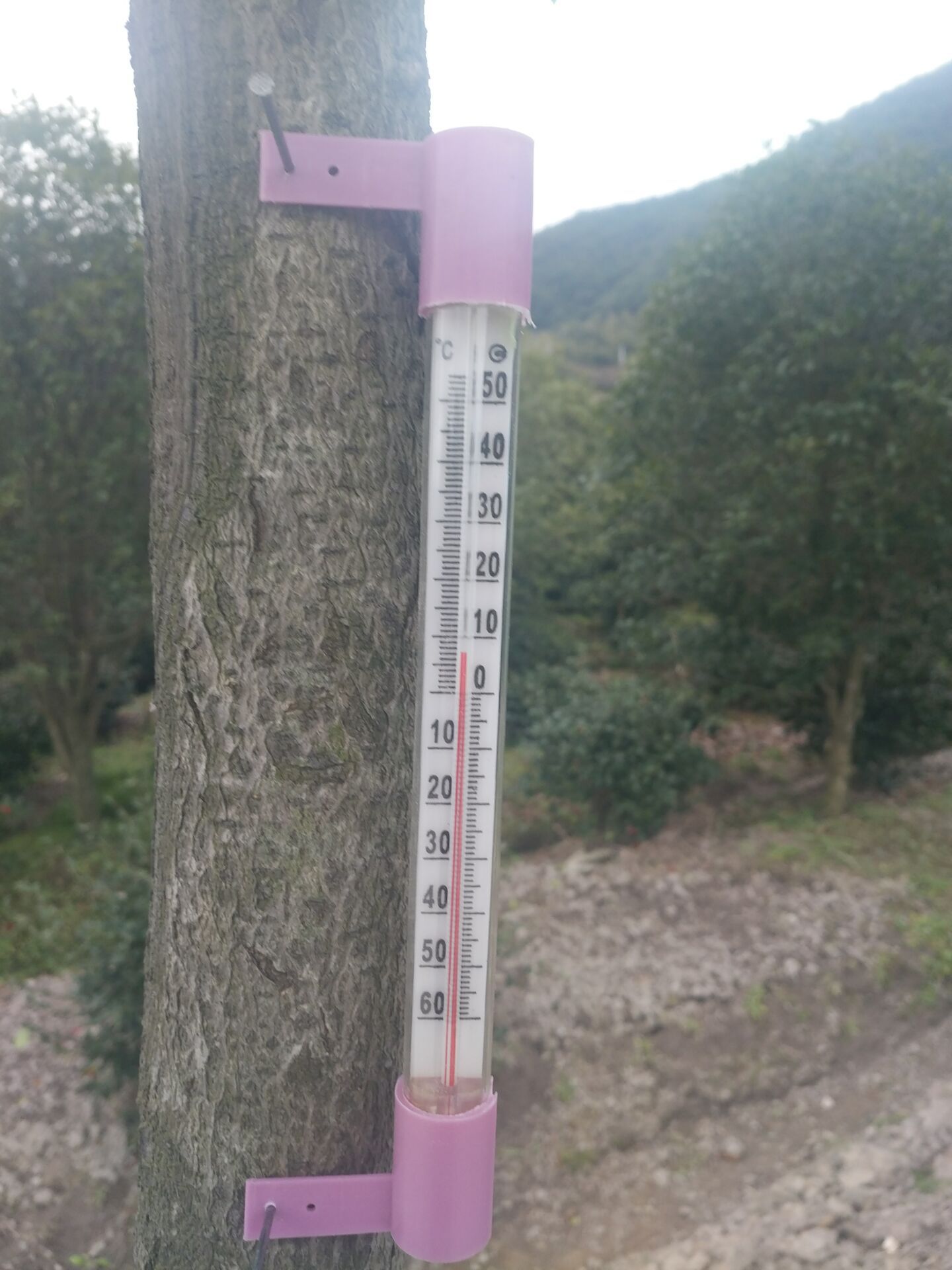 室外温度计养殖用品玻璃管 寒暑表 室外计实验室温控室