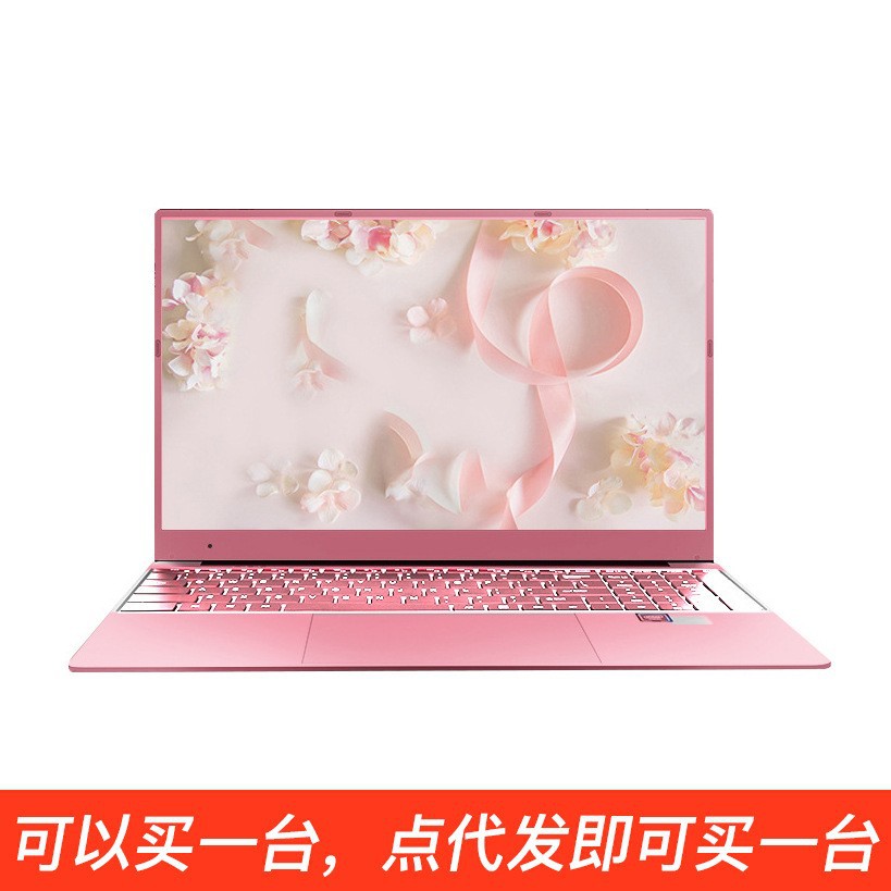 15.6 inches-N5095-rose gold