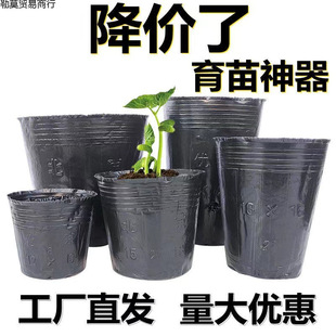 �I�B�����籭һ���Ժ�ɫ�I�B���������̖���Nֲ����������I�B��