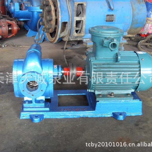 双圆弧齿轮泵YCB 不锈钢泵 食品泵 船用泵 铜轮泵 高真空泵
