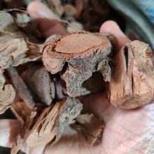 药材地透龙 根部野生 透地龙 入地龙 酸藤根 红酸藤根 酸藤子根
