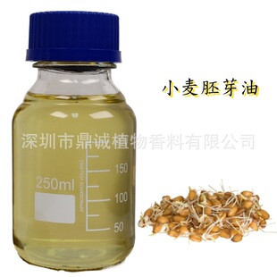�����A�͡�С����ѿ��������ե��ȡС����TRITICUM VULGARE����ѿ