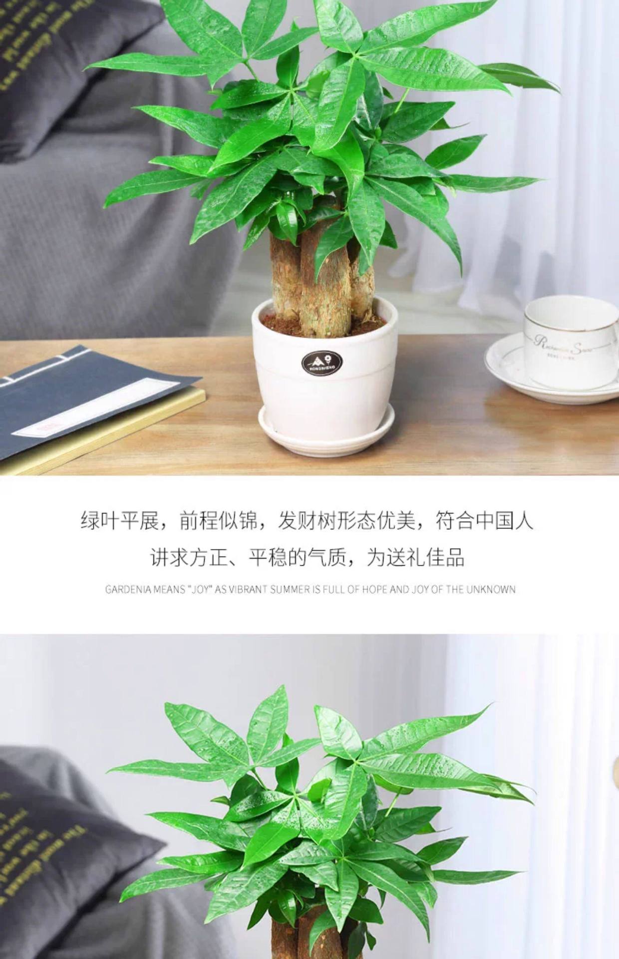 详情图