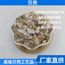 现货贝壳 耐腐蚀高吸附 原油染料工艺品用