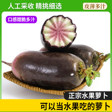 批发代发现采新鲜萝卜可生吃不辛辣低热量高水分潍坊冰淇淋萝卜