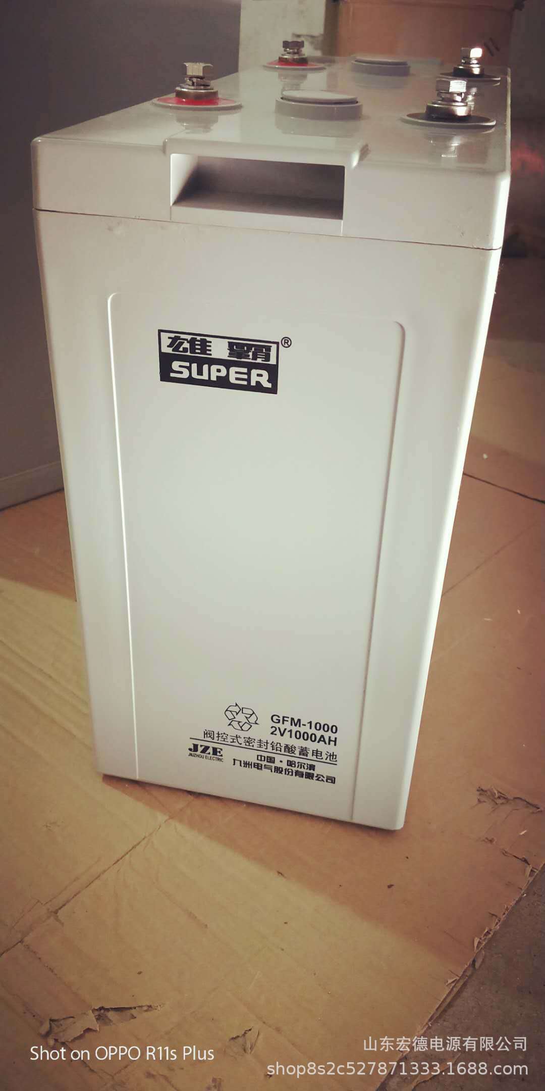 雄霸蓄电池GFM-1800 2V1800AH阀控式密封铅酸蓄电池 电厂UPS通信