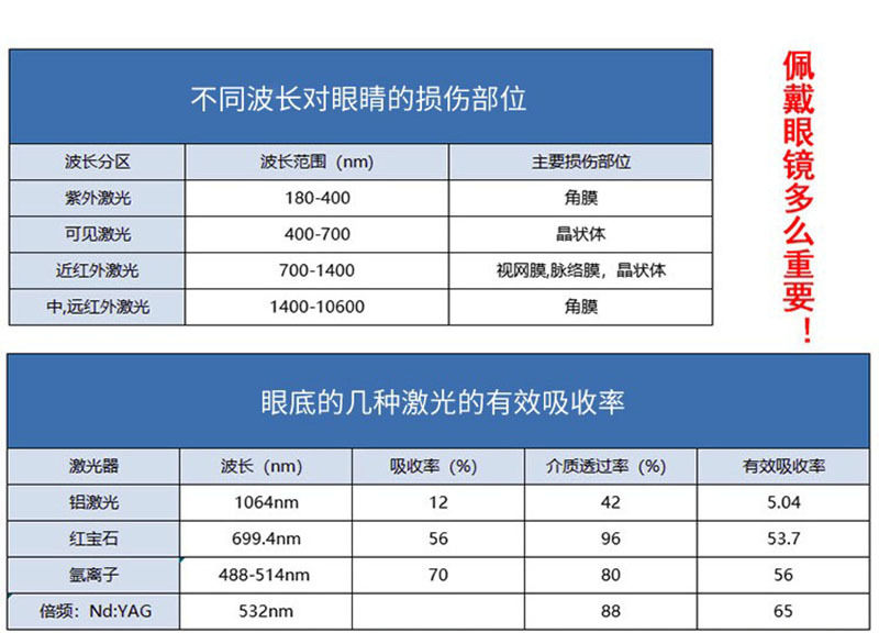 O1CN01YI1w5a1gTXaI6BMQI_!!9965