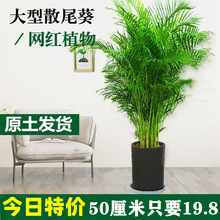 ɢβ��ֲ������ �����������Pβ�� �҃Ȼ��ܾGֲҬ���҃ȴ�������